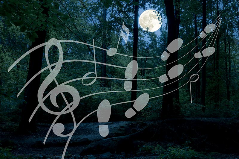 Muziekwandeling Nacht van de Nacht, Almere