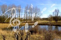 Muziekwandeling Natuurpark Lelystad
