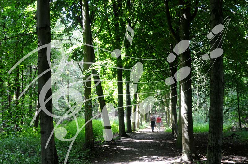 muziekwandeling Horsterwold