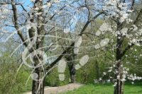 Muziekwandeling Voedselbos Park Uithof